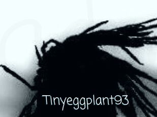 Tinyeggplant93