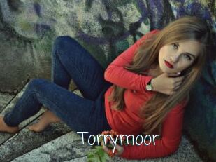 Torrymoor