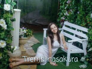 Tremblingsakura