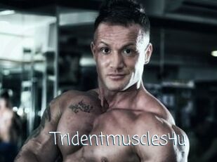 Tridentmuscles4u
