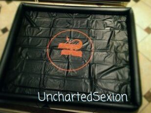 UnchartedSexion