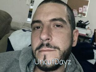 UncutDayz
