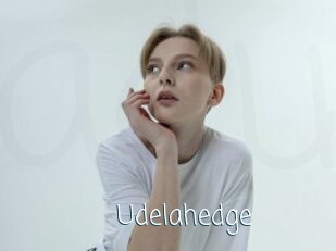 Udelahedge