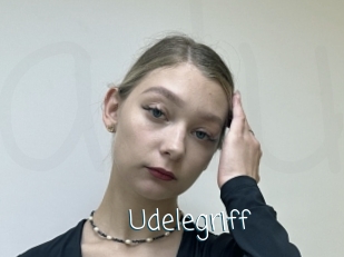 Udelegriff