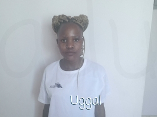 Uggal