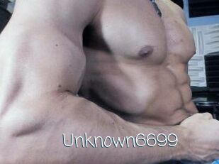 Unknown6699