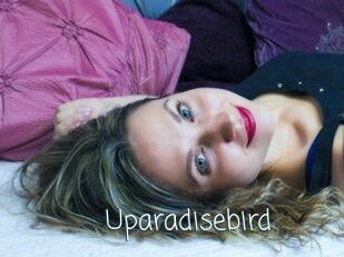 Uparadisebird