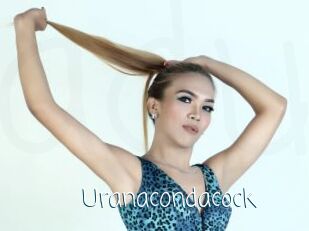 Uranacondacock