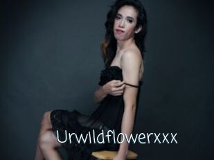 Urwildflowerxxx