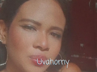 Uvahorny