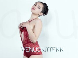 VENUSKITTENN