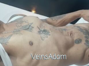 VeinsAdam