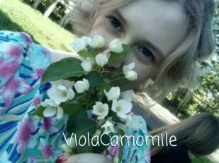 ViolaCamomile