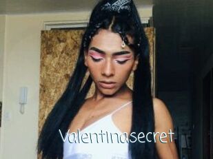 Valentinasecret