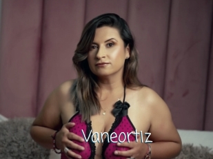 Vaneortiz