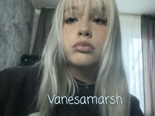 Vanesamarsh
