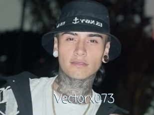 Vectorx073
