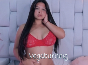 Vegaburning