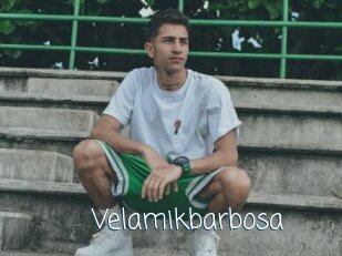 Velamikbarbosa