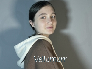 vellumurr Adult o Porn