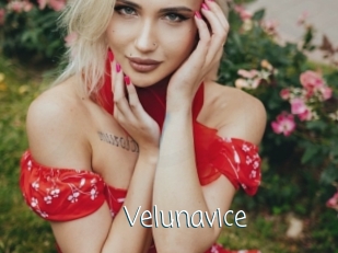 Velunavice