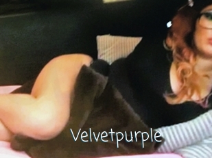 Velvetpurple