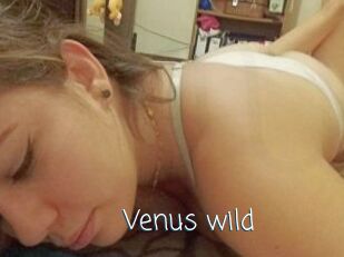 Venus_wild