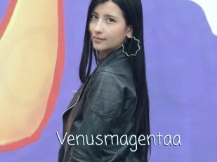 Venusmagentaa
