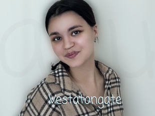 Vestatongate