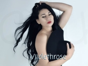 Viiolethrose