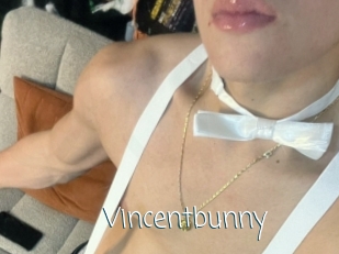 Vincentbunny