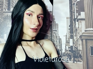 Violetarose