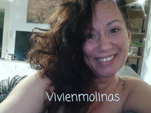 Vivienmolinas