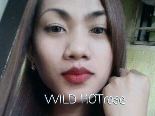 WILD_HOTrose