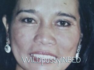 WILDpussyINBED