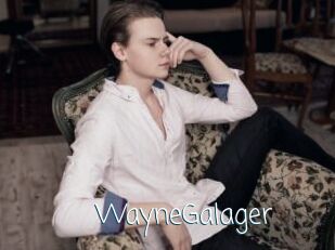 WayneGalager