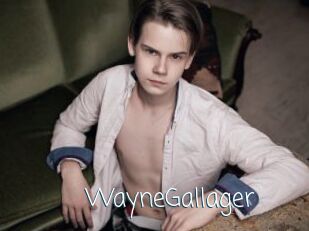WayneGallager