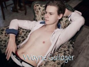 Wayne_Gallager