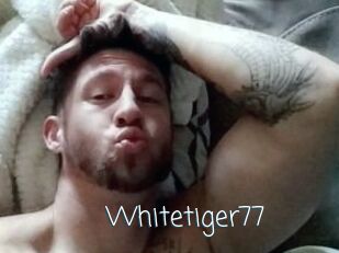 Whitetiger77