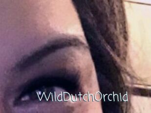 WildDutchOrchid