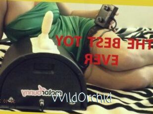 WildOrchid_