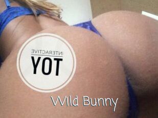 Wild_Bunny_