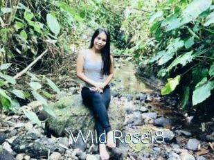 Wild_Rose18