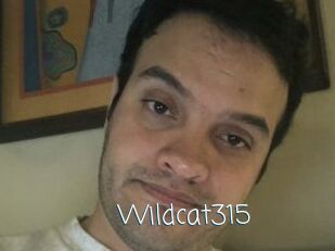 Wildcat315