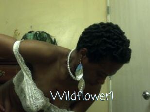 Wildflower1