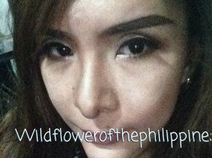 Wildflowerofthephilippines
