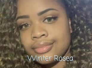 Winter_Rosea