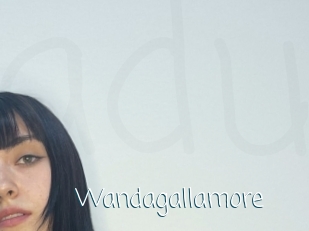 Wandagallamore
