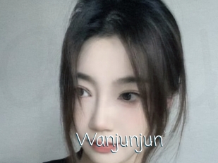 Wanjunjun