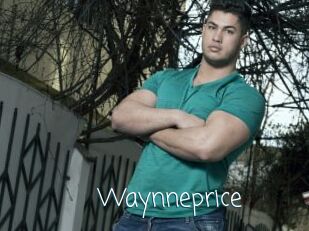 Waynneprice